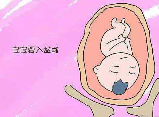 成都供卵试管捐卵机构男孩【试管婴儿5A级助孕中心】